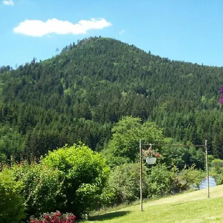 In Huebscher Lage Lägenhet Baiersbronn